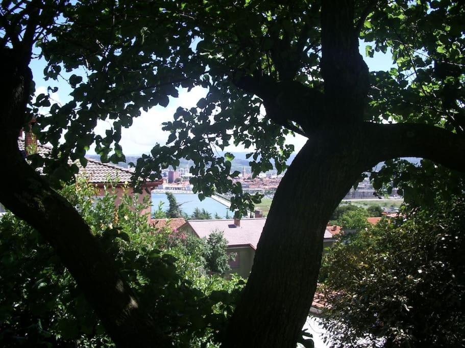 Studio With Garden Near The Sea Koper Extérieur photo