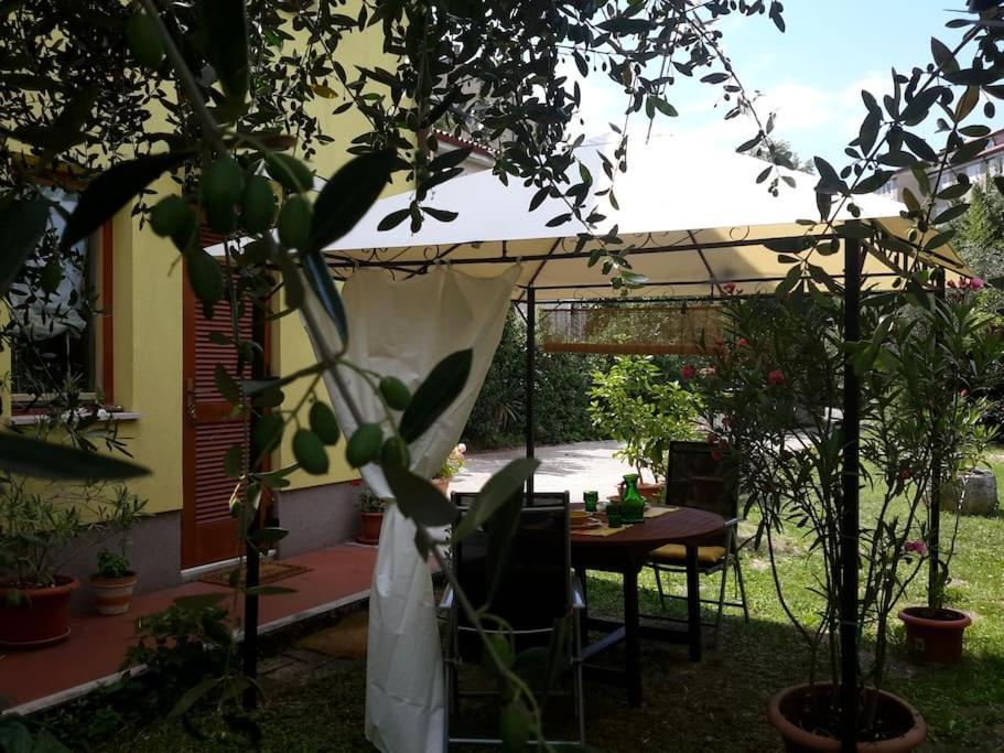 Studio With Garden Near The Sea Koper Extérieur photo